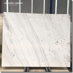 20211108-Century Mosaic-White Marble-2