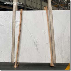 20220104-Century Mosaic-White Marble-1