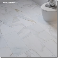 20220425-Century Mosaic-White Marble Tile