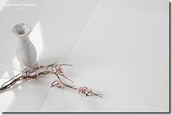 Paper Onyx_1